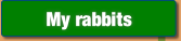My rabbits.