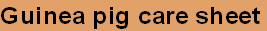 wp9422ef3d.png