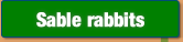 Sable rabbits.